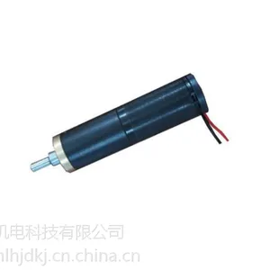 进口配件2224空心杯电机 大扭力空心杯 厂家定制 医疗器械电机
