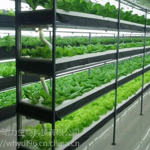 湖北武汉 植物工厂 观光型植物工厂 植物生长实验室 项目方案建设 整体规划实施 技术指导