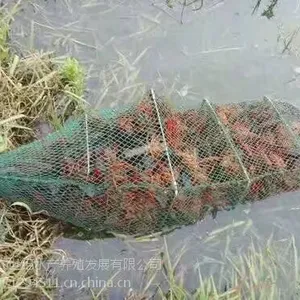 武汉裕农(已认证).龙虾养殖,龙虾养殖技术