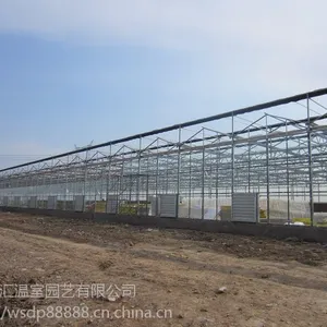 智能温室建造 玻璃大棚价格-山东千汇农业
