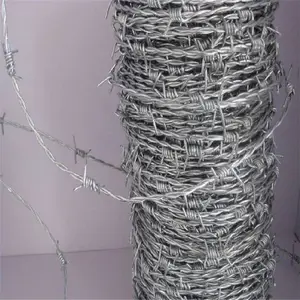 ***��Ƭ���� �̸�˿Χ�� �����ֻ�