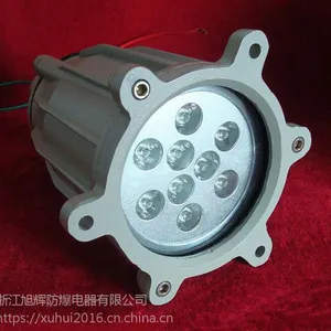 旭辉防爆视孔灯BAS51-60/100视孔防爆灯 厂家批发