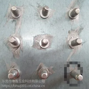 ��ñ��������ˮ��ñ�س�оí��4.8X16