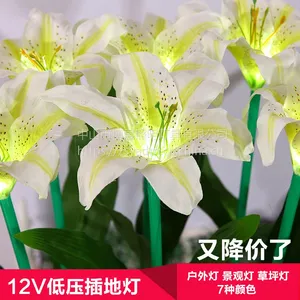 中山博展厂家直销湖南衡阳灯光节地插灯芦苇灯玫瑰花灯圆球灯麦穗灯