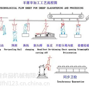 富禾隆 羊屠宰流水线