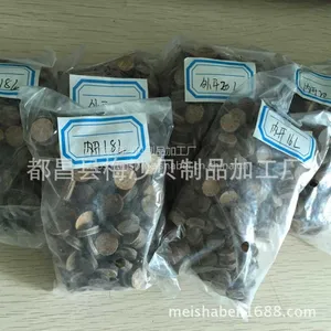 椰壳扣胚 椰子纽扣 衣服配饰