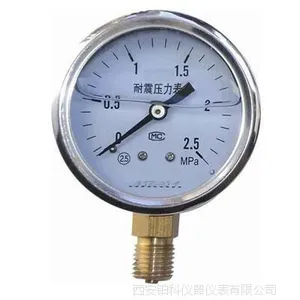 防腐型压力表Y-150F聚四氟涂层精度1.6级0-0.6mpa现货