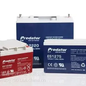 POWERSAFE蓄电池~(中国）代理商报价