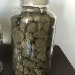 �㶫�������ң�����������������ֱ��