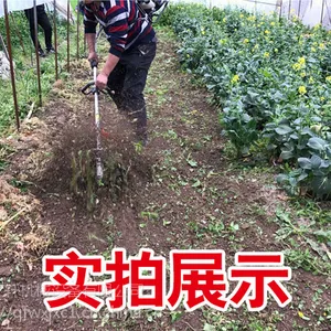 רҵ����ʽũ���԰���ݻ� ��;��ĸ�ݸ������� ���ݻ�ͼƬ