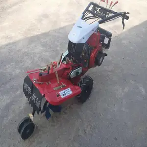 ˮ������԰���ػ� �¿��п�����л� �Ʒ�