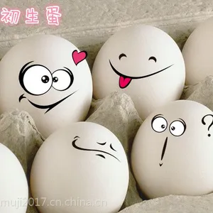 木几有机散养柴芦花初生鸡蛋30枚 散养土鸡蛋 黄儿大蛋香 散养柴鸡蛋 木几出品 安全营养