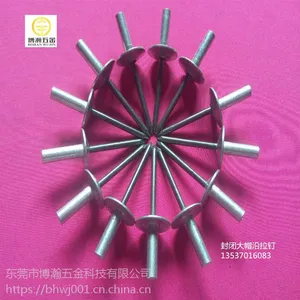 房屋光板用封闭型大帽抽芯铆钉｜防水封闭型铆钉4.8