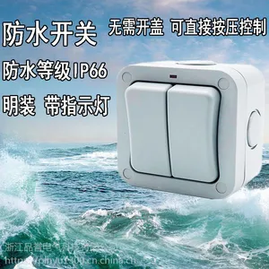 户外防水开关双开室内外花园浴室工地IP66单双控带指示灯明装防雨开关
