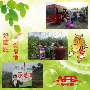 ��Ӧ10kg�߼���ˮ�ܷ� ����Ԫ�س�ʩ������ ���� �����׼�