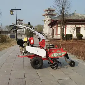 ũ�ò��ʹ�д󽪿�����־�ɴ�����ֲ��¢��