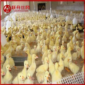 ���Ӻ�����ƽ�����Ӻ�����ƽ���۸����Ǯһƽ����