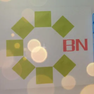 东莞市柏宁塑胶五金有限公司