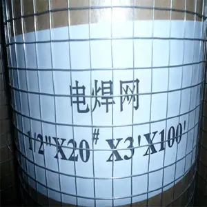 �纸������ ���µ纸�� ��ů��Ƭ