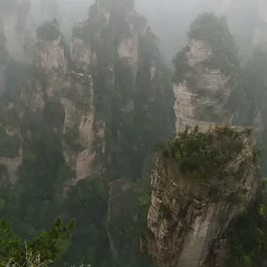 ��ȥ���żҽ�����Ѱ����һ���żҽ���ô����