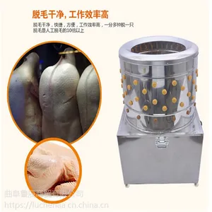 河南家禽脱毛机 多功能大型兔子拔毛机去毛机