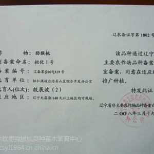 供应软枣(圆枣)猕猴桃苗