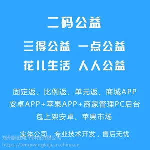 二码公益一点公益大唐天下三得公益商城系通的模式源码怎么选择