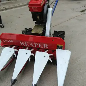 ������ո��������������