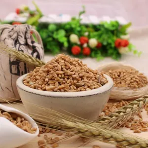 2018北京有机食品和绿色食品博览会