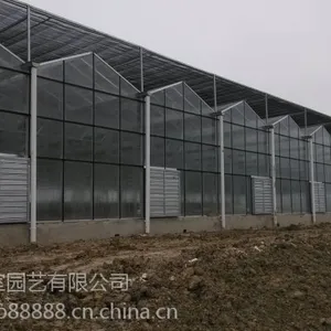 建造济南新农业园区,智能连栋温室,蔬菜温室大棚