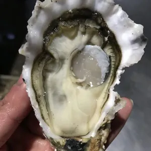 �人����������� �ʻ�������Ǯһ��