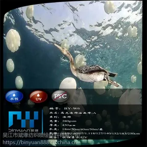 高光不防水涤棉白色油画布BY-W6