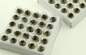 小电珠小灯泡3.8V 2.5v0.3A老式手电筒物理实验用 小灯泡300个起