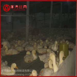 养鸡塑料平网_养鸡塑料平网价格_养鸡塑料平网厂家