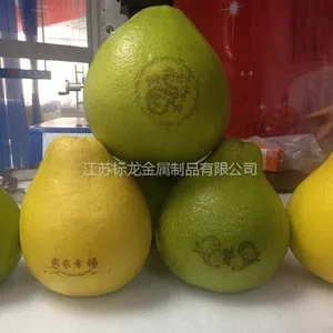 ˮ�������̼�LOGO��ά�뼤�����豸���޳�����������̻������
