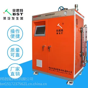 食品加工专用蒸汽发生器