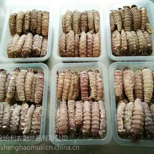 杭州爬虾肉厂家 加工熟冻虾爬子肉