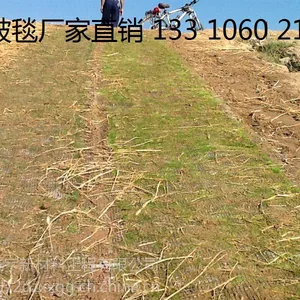 河道绿化椰丝毯 植草毯边坡绿化 水土流失治理生态毯