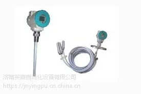 供应L303e码射频物位计上海锟鹏