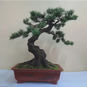 广晟 合成树脂松树 装饰造景 酒店大堂摆饰 工艺品 仿真树