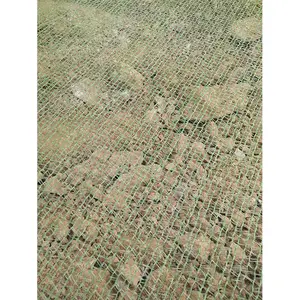 500��ú���ֳ�������ƽ���Է�����������������