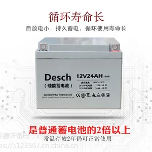 德斯奇蓄电池12V24AH NP24-12 太阳能 光伏发电 UPS不间断备用电源