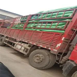 ������ ���������� ���������