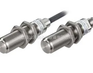 �¹�����SCHLEICHER����ϵͳ��DZR52-SL 0.1s-30h AC230V/50Hz