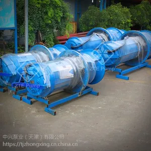 潜水轴流泵 不阻塞 游乐场设施用泵