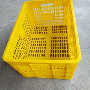 ��ɫ�ܽ���Ʒ���� ����ʮ��װ��ɫâ���������