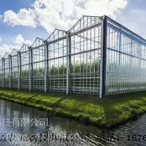 承接辽宁吉林黑龙江内蒙古东北地区温室大棚设计规划建造