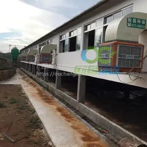�������쳧��ν���������⣬�����յ�������һƬ������