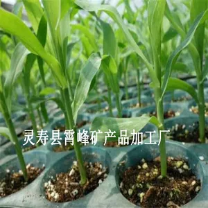 河北批发云南园艺蛭石 膨胀蛭石 20-40目
