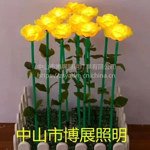 中山博展厂家直销湖南衡阳灯光节地插灯芦苇灯玫瑰花灯圆球灯麦穗灯
